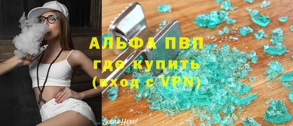 прущие грибы Вязьма