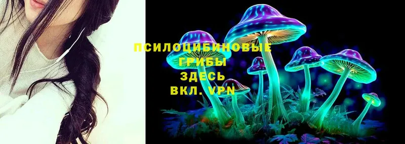 Псилоцибиновые грибы MAGIC MUSHROOMS  Оленегорск 